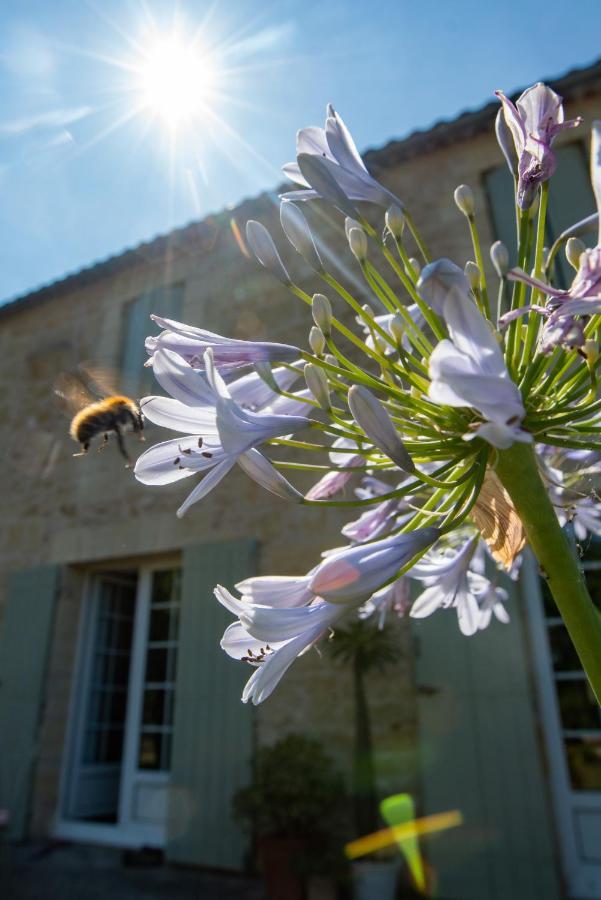 Gite Entre Bordeaux Et Saint-Emilion Genissac Ngoại thất bức ảnh